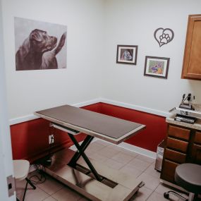 One of our many exam rooms.
