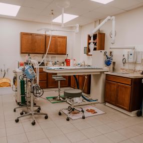 We have a brand new beautiful and spacious dental suite where we perform cleanings, extractions, and dental X-rays on our patients!