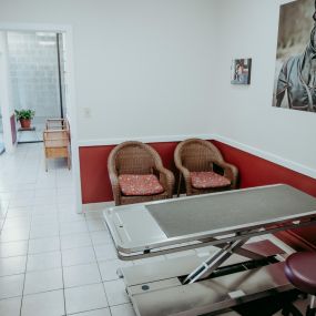 Our large exam room at Bay Ridge Animal Hospital