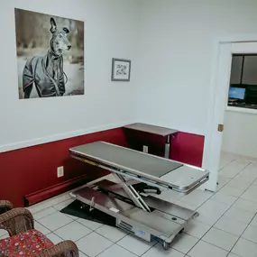 Our large exam room at Bay Ridge Animal Hospital