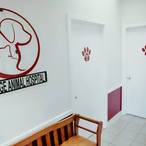 Two of our many exam rooms at Bay Ridge Animal Hospital!