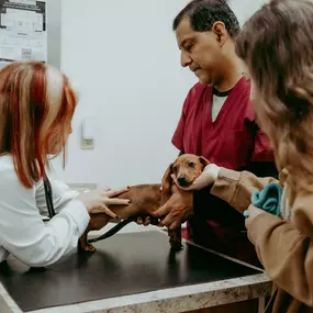 Dr. Rudd examines an adorable patient.