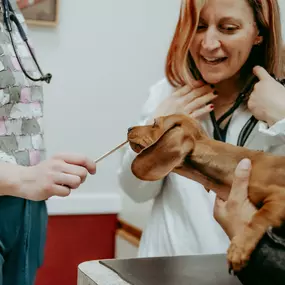 Peanut butter makes vaccine appointments better!