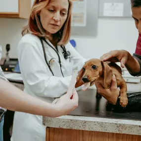 Peanut butter makes vaccine appointments better!