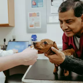 Peanut butter makes vaccine appointments better!