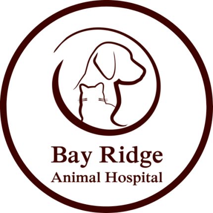 Logo van Bay Ridge Animal Hospital