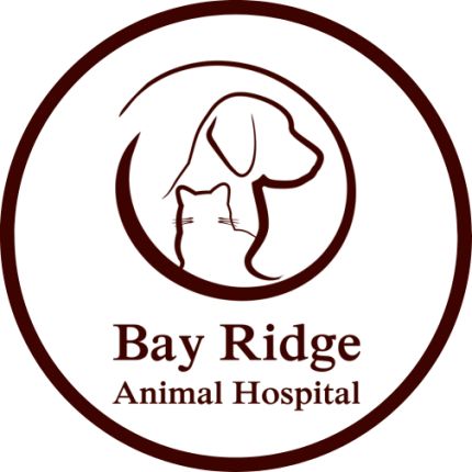 Logo de Bay Ridge Animal Hospital