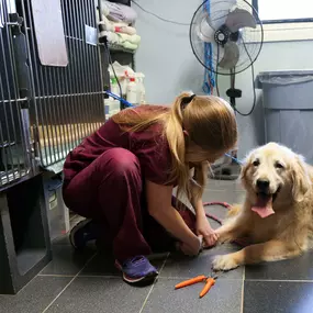 “It's mani/pedi day for this adorable pup!”