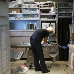 “Our veterinary technician prepares her patient for dental x-rays.”