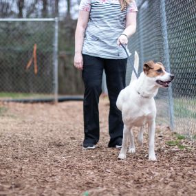 With cost-conscious and comfortable boarding options, you never have to worry about your furry family member while you are away. The team at Hiram is trained to provide not only medical care, but also affection and attention!