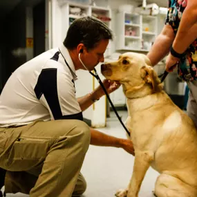 Dr. David Carpenter uses a stethoscope to listen to a patient’s heart and lungs.