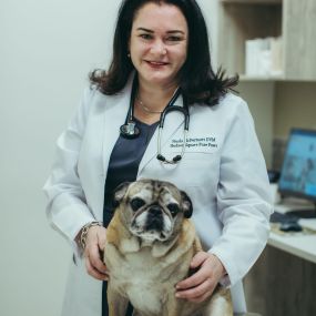 Dr. McDermott is the managing veterinarian and owner of Pure Paws of Hudson Square.