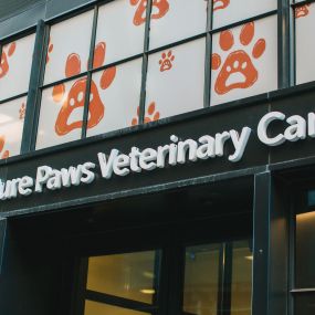 Welcome to Pure Paws Veterinary Care of Hudson Square. Our entrance is on King Street.
