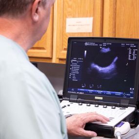 Did you know we offer ultrasonic services? Some common uses for veterinary ultrasounds include diagnosing pregnancy, abdominal issues, cardiac abnormalities foreign body ingestion, intestinal disorders, cancer, and abdominal masses.