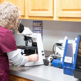 A veterinary technician examines a sample using a microscope in our on-site diagnostic laboratory.