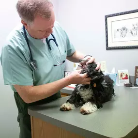 Part of your pet's annual visit includes and dental exam. We check for dental disease, which is about more than just bad breath, but about your pet’s complete health! Oral bacteria puts pets at risk for painful teeth and gums, and more serious issues like organ damage.