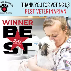 The entire team at Highlands-Eldorado Veterinary Hospital would like to take a moment to thank you for voting us ‘Best Veterinarian’! This honors mean so much to us, and we look forward to continue providing our clients and their pets with only the BEST in animal companion care!