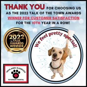 The entire team at Highlands-Eldorado Veterinary Hospital would like to take a moment to thank you for choosing us as the 2022 Talk Awards Winner for Customer Satisfaction (for the 10th year in a row!) This honor means so much to us, and we look forward to continuing to provide only the BEST in veterinary medicine.