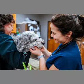 Highlands-Eldorado Veterinary Hospital in McKinney Texas. Our veterinarian performs an exam on a sweet puppy.