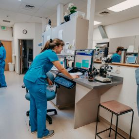 Our modern veterinary facility is home to cutting-edge veterinary tools and technology that help our medical team keep patients healthy and happy.