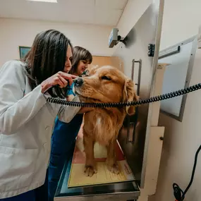 Part of our patient's wellness exam is to check the ears, and this adorable pooch was a great patient for Dr. Prange as she conducted the ear exam.