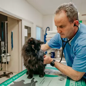 Dr. Lomax uses a stethoscope to listen to this pretty patient's heart and lungs.