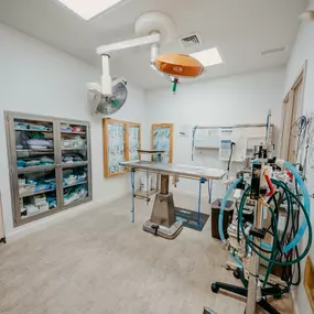 At Fallston Veterinary Clinic we have two surgical suites to accommodate the variety of surgeries we provide.