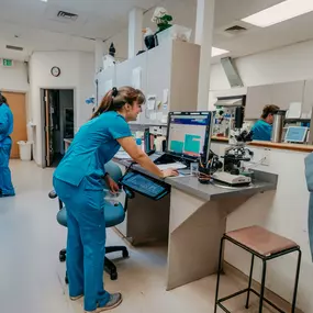 Our modern veterinary facility is home to cutting-edge veterinary tools and technology that help our medical team keep patients healthy and happy.