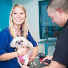 Dr. Funk works with a friendly veterinary technician to check this Shih Tzu’s blood pressure. Irregular blood pressure can cause a variety of complications and be a sign of disease such as diabetes. Knowing the symptoms of diabetes can be the initial step in preventative care. If your companion has a change in appetite, weight loss, excessive thirst, or is prone to urinary tract infections, do not hesitate to visit the veterinarian!