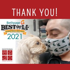 The entire team at Levittown Animal Hospital would like to take a moment to thank you for voting us

-Best Veterinarian (Dr. Funk)
-Best Pet Hospital
-Best Pet Sitting/Boarding

This honor means so much to us, and we look forward to continue providing only the BEST in veterinary medicine.
