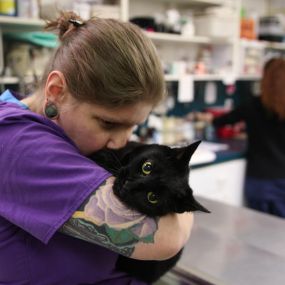 We love our feline patients! Levittown Animal Hospital is Certified in Low-Stress Handling to make visits to our facility stress-free for your best friend.