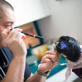 One additional reason to keep up with routine annual visits is the extreme importance of eye health. Using a light pen, Dr. Funk assesses the overall function of a patient’s eye. It is critical to visit the vet if your pet is having issues with their eyes to prevent much more severe consequences if left untreated, such as blindness.