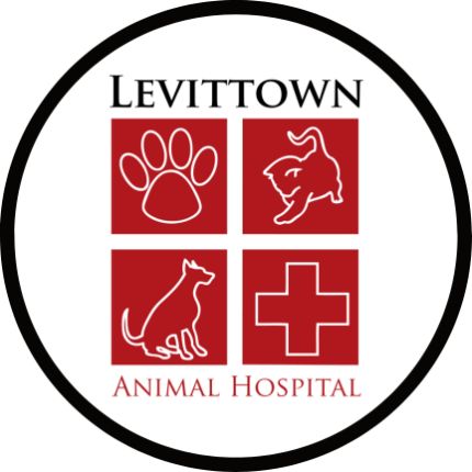 Logo von Levittown Animal Hospital