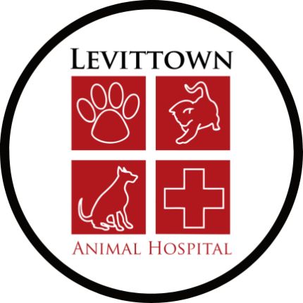 Logótipo de Levittown Animal Hospital