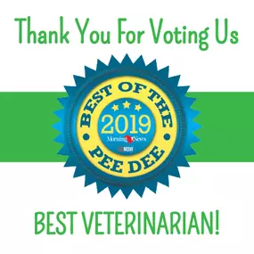 The readers of the Morning News have spoken, and they think Palmetto Animal Hospital is Best of the Pee Dee 2019 in the Best Veterinarian category!  Thank You to all who voted, and we look forward to providing you only the best in veterinary care!