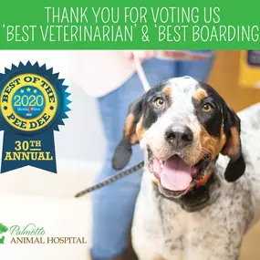 Thank you for voting us best boarding!