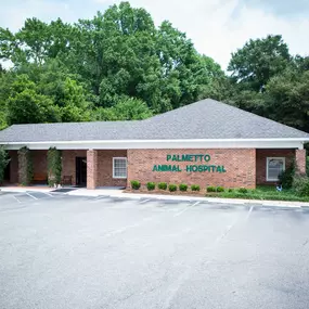 Palmetto Animal Hospital is equipped to provide a wide range of veterinary services. Our facility houses multiple exam rooms, a treatment area, an in-house laboratory, a surgical suite, and digital radiography​ and ultrasound technology.