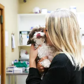 We love what we do at Palmetto Animal Hospital!