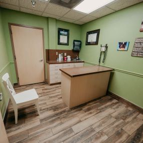 Festival Veterinary Clinic has multiple private exam rooms where your pet will be examined by one of our experienced veterinarians.