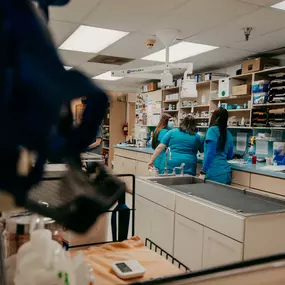 Our modern veterinary facility is home to cutting-edge veterinary tools and technology that help our medical team keep patients healthy and happy.