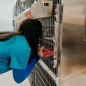 A technician comforts one of our adorable patients.