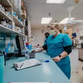 Our hospital team has a special passion for veterinary care that goes beyond medicine. We love all of our patients and aim to deliver compassionate services that will help them live long, happy, and healthy lives.