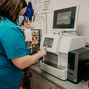 The in-house lab at Festival Veterinary Clinic allows us to produce test results quickly and accurately.