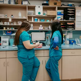 Diagnostics like fecal samples give us a better understanding of your pet’s overall health. Seen here are two of our technicians preparing a fecal sample for testing.