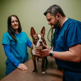 Dr. Beron uses a stethoscope to listen to this pretty patient's heart and lungs.