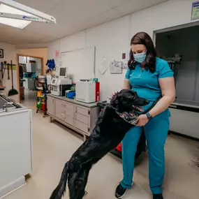 A veterinary technician cuddles up to one of our adorable patients.