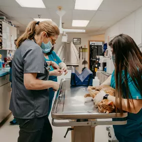 Dr. Cianelli draws a blood sample from a very sweet patient.