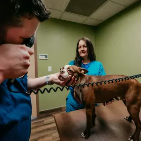 Healthy eyes are clear and bright. Using an ophthalmoscope, Dr. Beron examines the eyes for scratches and abrasions.