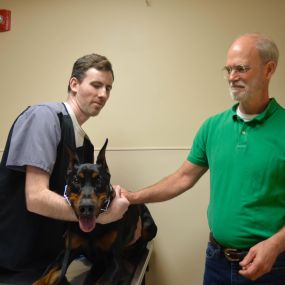 With the help of a veterinary technician, Dr. Chris Johnson begins an annual wellness exam.