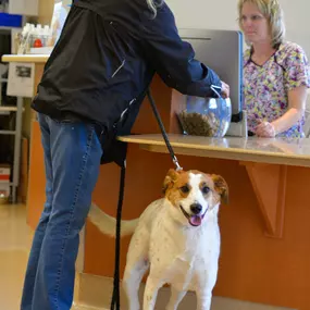 Treats are available at the front desk to reward your pet for a great visit.